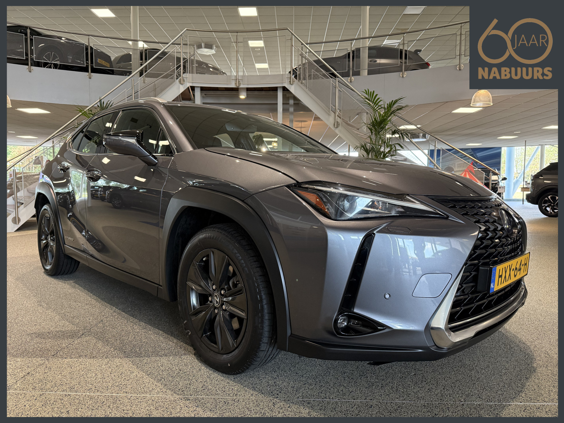 Lexus Ux Luxury Line 250h
